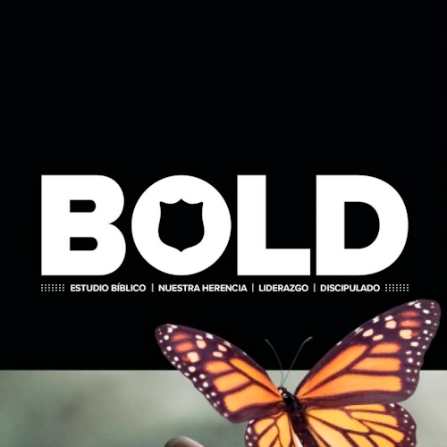 Cadetes Locales – B